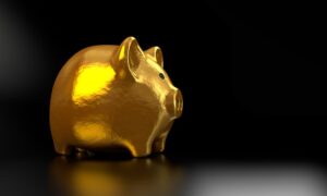 Investeren In Start-ups: Risico’s En Kansen