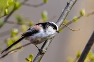 Duurzaam Investeren: Een Handleiding Voor Toekomstbewuste Beleggers
